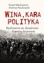 Wina kara polityka