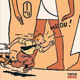 Tim & Struppi Wandkalender 2022