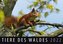 Tiere des Waldes 2022
