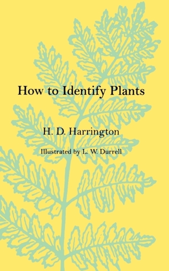 How To Identify Plants