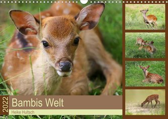 Bambis Welt (Wandkalender 2022 DIN A3 quer)