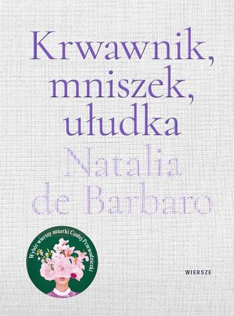 Krwawnik, mniszek, ułudka Krwawnik, mniszek, ułudka