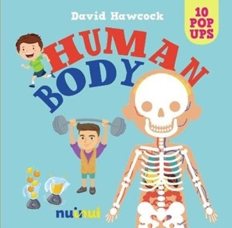 10 Pop Ups: Human Body