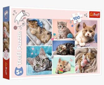 Puzzle V kočičím světě/100 dílků