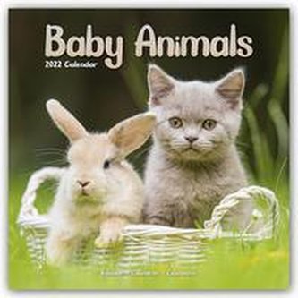 Baby Animals - Tierbabys 2022 - 18-Monatskalender