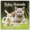 Baby Animals - Tierbabys 2022 - 18-Monatskalender