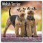 Welsh Terrier 2022 - 18-Monatskalender mit freier DogDays-App