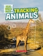 Tracking Animals (Real World Math) (Library Edition)