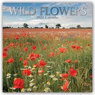 Wildflowers - Wildblumen 2022 - 18-Monatskalender
