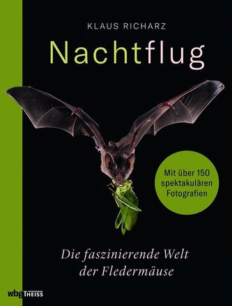 Nachtflug