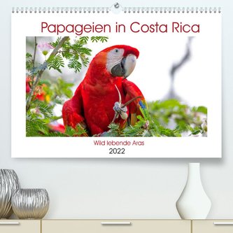 Papageien in Costa Rica (Premium, hochwertiger DIN A2 Wandkalender 2022, Kunstdruck in Hochglanz)