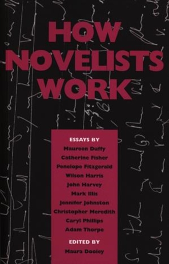 How Novelists Work