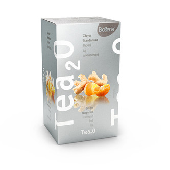 BIOGENA Biogena Tea2O Zázvor & Mandarinka 20 x 2,5g