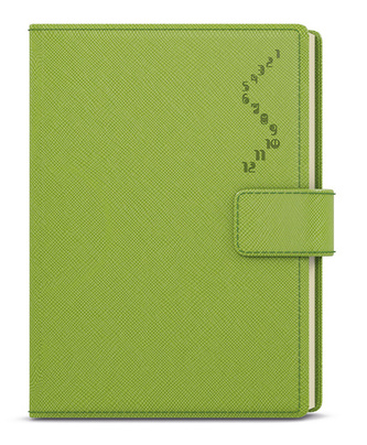 Denní A5 diář manager color zelená