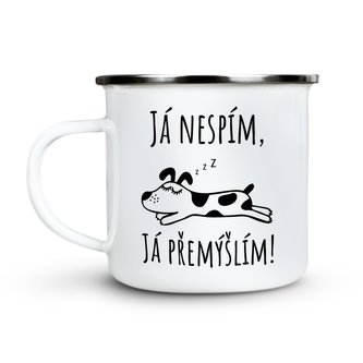 Ahome Plecháček Já nespím, já přemýšlím