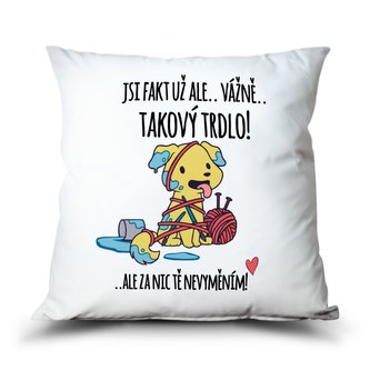 Ahome Polštář Už ale.. takový trdlo!