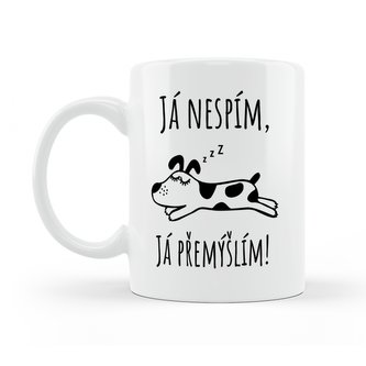 Hrneček Já nespím, já přemýšlím