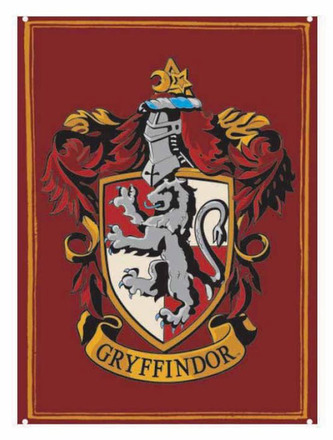Dekorativní cedule na zeď Harry Potter: Erb Nebelvíru (14,8 x 21 cm)