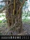 Charakter-Bäume 2022