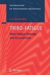 Tribo-Fatigue