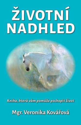 Životní nadhled - Kniha, která Vám pomůže pochopit život Životní nadhled - Kniha, která Vám pomůže pochopit život