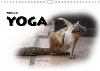 Tierisches Yoga (Wandkalender 2022 DIN A4 quer)