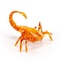 HEXBUG Scorpion - oranžový