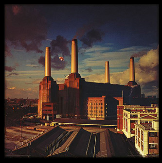 Plakát v rámu Pink Floyd: Animals (31,5 x 31,5 cm)