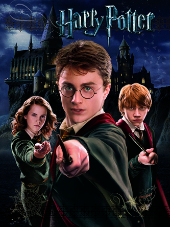 Obraz na plátně Harry Potter: Harry & Ron & Hermione (30 x 40 cm)