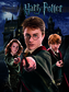 Obraz na plátně Harry Potter: Harry & Ron & Hermione (30 x 40 cm)