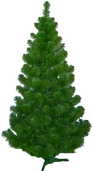 Strom borovice žilka150cm