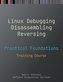 Practical Foundations of Linux Debugging, Disassembling, Reversing