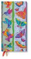 Kolibri und Schmetterlinge 12-Monatskalender 2022 Schlank Horizontal