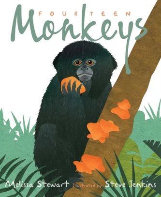 Fourteen Monkeys