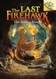 The Secret Maze: A Branches Book (The Last Firehawk #10) (Library Edition)