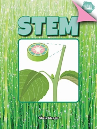 STEM