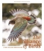 BRILLIANCE OF BIRDS