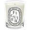 Diptyque Figuier - svíčka 190 g unisex