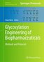 Glycosylation Engineering of Biopharmaceuticals