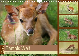 Bambis Welt (Wandkalender 2020 DIN A4 quer)