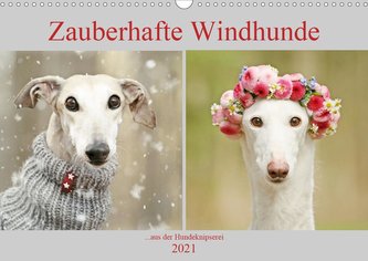 Zauberhafte Windhunde (Wandkalender 2021 DIN A3 quer)
