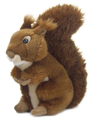 Wiewiórka ruda 23cm WWF