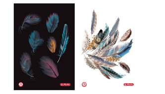 Brulion A5/96K kratka Feathers (5szt)