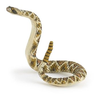 Chřestýš Chřestýš