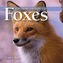Exploring the World of Foxes