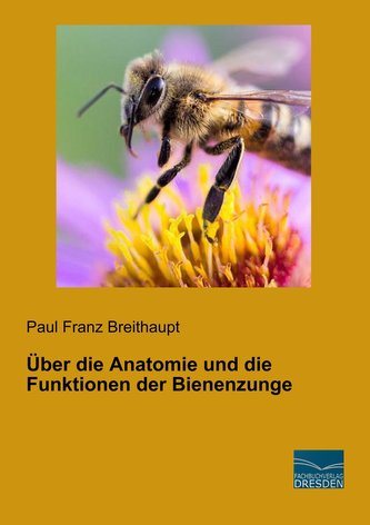 Über die Anatomie und die Funktionen der Bienenzunge