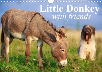 Little Donkey with Friends (Wall Calendar 2021 DIN A4 Landscape)