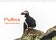 Puffins - Vögel des Nordens (Wandkalender 2021 DIN A4 quer)