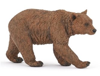 Medvěd hnědý Medvěd hnědý