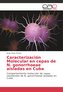 Caracterización Molecular en cepas de N. gonorrhoeae aisladas en Cuba